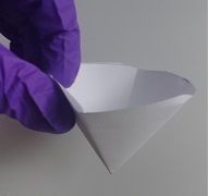 elaboración de un filtro liso, pleago y Buchner