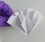 elaboración de un filtro liso, pleago y Buchner