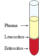 microhematocrito